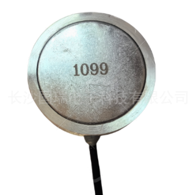 微(wēi)型滲壓計(jì)